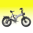 Silver / 48V 40AH (Single-Battery)